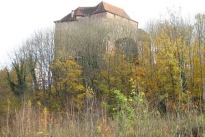 Vosges