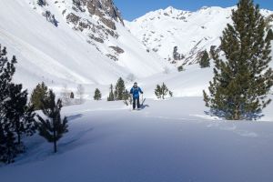 Test de la veste Jack WolfskinSupercharge Jacket