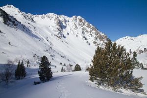 Traces de raquettes  neige