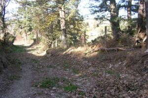 La Regordane ou chemin Saint Gilles.