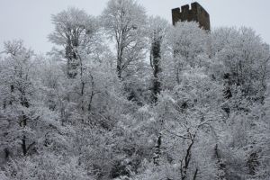 Chteau de Luz Saint Sauveur sous la neige