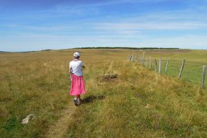 Randonneuse  ct du Signal de Mailhebiau, Aubrac en randonne pdestre