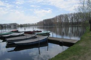 Berlare (BE)