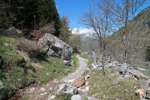 Le sentier que nous venons de parcourir