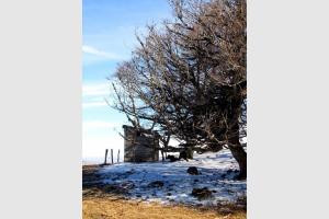 Cabane sur l'Aubrac, entre Laguiole et Aubrac