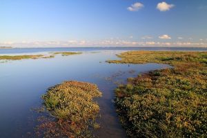 Bassin d'Arcachon au niveau d'Andernos