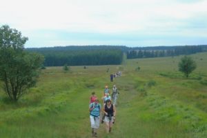 Fagnes