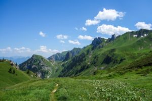 Entre bleu et vert