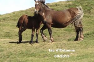 Moment tendresse
