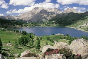 Lac d'Allos Miniature