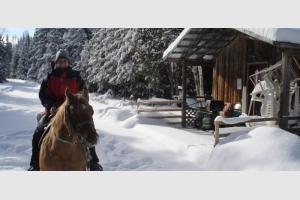 Randonne questre dans la neige au Qubec
