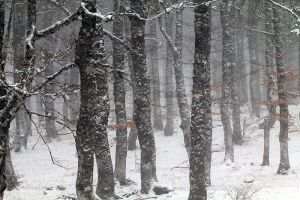 Fort enneige en Aubrac