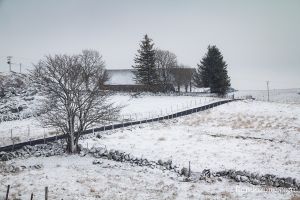 Paysage d'Aubrac sous la neige