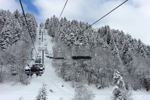 Neige sur les sapins  Barges