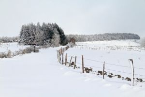 Balade dans la neige en Aveyron - 1