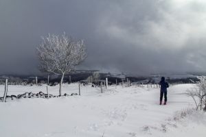 Balade dans la neige en Aveyron - 2