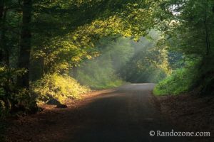 Dbut de la rando vers les cascades du Mont-Dore
