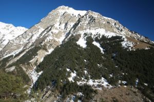 Tte de Siguret Barcelo
