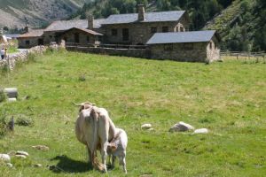 Vall d'Incles (Andorre)