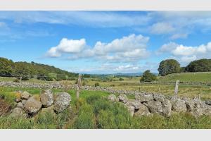 Paysage de l'Aubrac