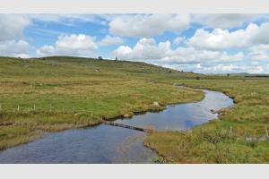 Joli paysage d'Aubrac