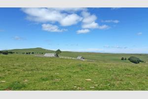 Puy de Gudette et buron sur l'Aubrac 
