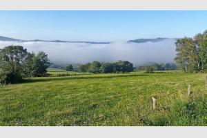 Dbut de la randonne sur Aubrac