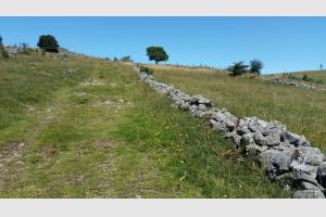 Chemin GR6 longeant les prs