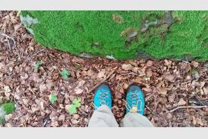 Dj un tapis de feuilles d'automne