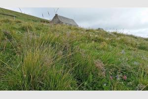 Buron au petit matin