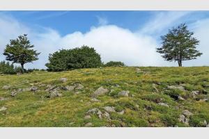 Aux alentours du Puy de Gudette