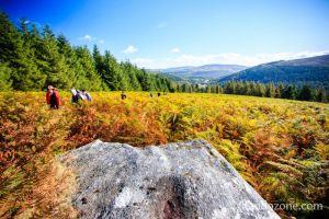 Passage dans les fougres en Irlande