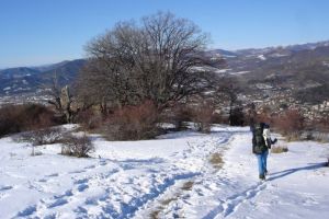 les basses bties en hiver