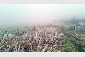 GR65  ct du village d'Aubrac