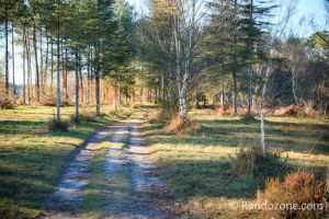 Dbut de la balade  Hostens