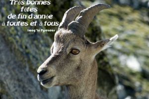 Mercantour - Bonnes ftes de fin d'anne