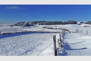 GR65 : Draille qui mne  Aubrac