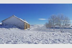 Buron enneig face au Lac des Moines