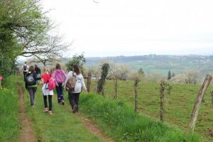 Randonne en pays de Brive