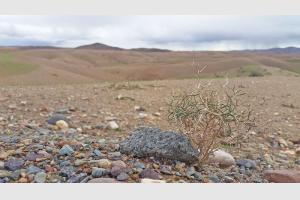 Dans la campagne marocaine