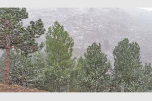 Il neige dans les montagnes 