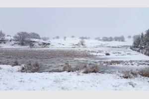 Lac en bordure de route