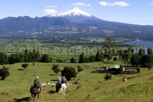 Balade  cheval au Chili