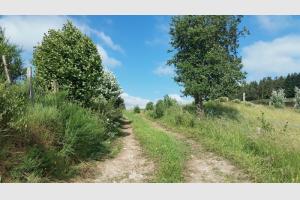 Randonnée au Puy de la Tuile Chemin entre les près