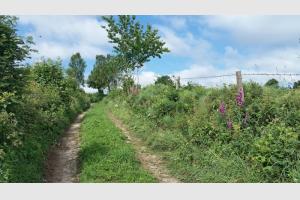 Randonnée au Puy de la Tuile Chemin qui monte après Deux Verges