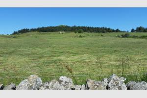 Le Pic de Mus depuis St Laurent de Muret