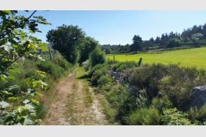 Chemin juste aprs le premier croisement