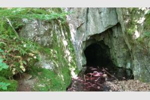 Grotte dans la fort