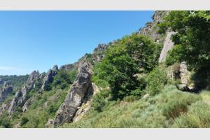 Dans les gorges du Bs