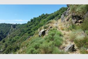 Sentier longeant la roche